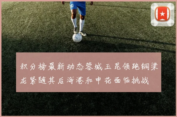 积分榜最新动态蓉城玉昆领跑铜梁龙紧随其后海港和申花面临挑战